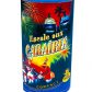 feux d'artifice automatique, feux d'artifice de proximité, achat feux d'artifice paris, fontaines Feux d’Artifices, Fontaines, Escale aux Caraïbes