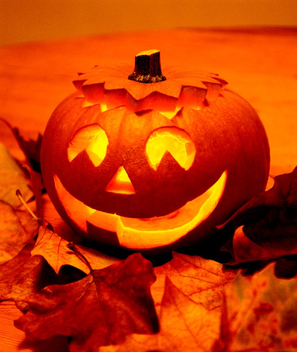 Se deguiser pour Halloween: Ailes de Démon de costume, Ailes de Démon de costumes, Araignée de déguisement, Araignées de déguisements, Araignées Néon pour costume, Arme Halo pour costumes, Armes halloween pour déguisement, Baby Cape pour déguisements, Bague Tête de Mort pour se costumer, Balai de Sorcière pour se déguiser, Bandage Bras pour soiree costumee, Bandage Tête pour soirée costumée, Barbelés pour soiree deguisee, Bat Noir pour soirée déguisée, Bat Rouge pour soiree deguisee et costumee, Blessure Cou soirée costumée, Blessure Coupures soirée déguisée, Blessure de Vampire de deguisement, Blessure Effet Fracture de deguisements, Blessure Epingles pour deguisement, Blessure Etoile pour deguisements, Blessure Impact de costume, Blessures Multi de costumes, Boa Noir de déguisement, Bouche Cousue de déguisements, Bougeoir Tête de Mort pour costume, Bougie Citrouille pour costumes, Bougie Tête de Mort pour déguisement, Bougies Halloween pour déguisements, Boulet Chaine pour se costumer, Boutons pour se déguiser, Cagoule pour soiree costumee, Canines de Vampire pour soirée costumée, Cape pour soiree deguisee, Cape pour soirée déguisée, Cape Argent pour soiree deguisee et costumee, Cape Enfant soirée costumée, Cape Enfant soirée déguisée, Cape Glitter de deguisement, Cape Rouge Enfant de deguisements, Cape Velours pour deguisement, Capsules de Sang pour deguisements, Chandelier Tête de Mort de costume, Chapeau de Sorcière de costumes, Chapeau de Sorcière de déguisement, Chapeau de Sorcière de déguisements, Chapeau de Sorcière Plumes pour costume, Chapeau de Sorcière Velours pour costumes, Chapeaux Sorcière pour déguisement, Chaudron pour déguisements, Chaudron pour se costumer, Chauve Souris pour se déguiser, Chauve Souris pour soiree costumee, Chemise de Vampire pour soirée costumée, Chouette pour soiree deguisee, Citrouilles Lumineuses pour soirée déguisée, Collants Résille pour soiree deguisee et costumee, Collants Spider soirée costumée, Collants Squelette soirée déguisée, Collants Têtes de Mort de deguisement, Collier Ail de deguisements, Confetti Halloween pour deguisement, Confetti Halloween pour deguisements, Confetti Halloween de costume, Cornes de Diable de costumes, Cornes de Diable de déguisement, Cornes de Diable de déguisements, Cornes Lumineuses pour costume, Couteau pour costumes, Couteau de Boucher pour déguisement, Couteau Sanglant pour déguisements, Crâne pour se costumer, Crâne pour se déguiser, Crème Phosphorescente pour soiree costumee, Croix pour soirée costumée, Cyclope pour soiree deguisee, Dangling Fantômes pour soirée déguisée, Dangling Halloween pour soiree deguisee et costumee, Dangling Spider soirée costumée, Dents de Vampire soirée déguisée, Dents de Vampire de deguisement, Dents de Vampire de deguisements, Dents Horribles pour deguisement, Dents Horribles pour deguisements, costume Diable , costume de Diable , costumes Diable , costumes de Diable , deguisement Diable , déguisement Diable Enfant , deguisement de Diable Vert , déguisement de Dracula , Epée Excalibur de costume, Epée Or de costumes, déguisement et costume Fantôme , deguisements Fantôme , Fardel pot de déguisement, Fardel tube de déguisements, Faucheuse pour costume, Faux pour costumes, Faux Cils Noirs pour déguisement, Faux Cils Noirs pour déguisements, Faux Cils Rouges pour se costumer, Faux Cils Rouges pour se déguiser, Faux Cils Rouges et Noirs pour soiree costumee, Faux de la Mort pour soirée costumée, Faux Ongles Noirs pour soiree deguisee, Faux Sang pour soirée déguisée, Faux Sang pour soiree deguisee et costumee, Faux Sang Fantasy soirée costumée, Fers soirée déguisée, Fourche de Diable de deguisement, Gant Freddy de deguisements, Gants Courts pour deguisement, Gants Courts, Noir pour deguisements, Gants de Démon de costume, Gants Fourrure de costumes, Gants Loup de déguisement, Gants Monstre de déguisements, Gants Monstre pour costume, Gants Plumes, Noir pour costumes, Gants Satin, Noir pour déguisement, Gants Squelette pour déguisements, Gants Squelette pour se costumer, Gel Faux Sang pour se déguiser, Ghost Enfant pour soiree costumee, Guirlande Chauve Souris pour soirée costumée, Guirlande Citrouilles pour soiree deguisee, Hache Ensanglantée pour soirée déguisée, Hachoir pour soiree deguisee et costumee, Hallebarde Tête de Mort soirée costumée, déguisements Halloween , deguisements de Halloween Chat , déguisements de Halloween Sorcière , se costumer en Halloween Spider , se déguiser en Horreur , Horrible Skin soirée déguisée, Laque Cheveux UV de deguisement, Liquide Latex de deguisements, Manches Blessures pour deguisement, soirée costumée Monstre de l'Espace , costume Monstre de l'Espace , costume de Monstre de l'Espace , costumes Mortisia , costumes de Mortissia , deguisement Mystique Brune , Nez de Sorcière pour deguisements, Nez de Sorcière de costume, Nez de Sorcière de costumes, Noir à dent de déguisement, Oeil Devil de déguisements, Oeil Sanguinolent pour costume, Oiseau Noir pour costumes, déguisement Pasty Noir , Pâte à Cicatrice pour déguisement, Peau Horrible Grise pour déguisements, Peau Théatrale pour se costumer, Pendentif Croix pour se déguiser, Pendentif Croix pour soiree costumee, Pendentif Halloween pour soirée costumée, Pendentif Tête de Mort pour soiree deguisee, deguisement de Petit Squelette , déguisement de Petit Zombie , déguisement et costume Petite Sorcière , deguisements Petite Sorcière , Queue de Diable pour soirée déguisée, Queue de Loup pour soiree deguisee et costumee, Rat soirée costumée, Rat Poilu soirée déguisée, Sac à Bonbons de deguisement, Sac à Bonbons de deguisements, Sang Kryolan pour deguisement, déguisements Scream , deguisements de Scream Lumineux , Seau Citrouille pour deguisements, déguisements de Serpe , se costumer en Serpent , se déguiser en Serpent , Serre-Tête Clou de costume, Serre-Tête Couteau de costumes, soirée costumée Sorcière , costume Sorcière , costume de Sorcière Baby , costumes Sorcière Orange , costumes de Sorcière Orange , deguisement Sorcière Plumes , déguisement Sorcière Rouge , deguisement de Sorcière Satin , déguisement de Sorcière Spider , déguisement et costume Sorcière Violette , deguisements Spider Dress , déguisements Squelette , deguisements de Squelette , déguisements de Squelette Enfant , se costumer en Squelette Phospho Enfant , Stickers Citrouilles de déguisement, Stickers Fantômes de déguisements, Stickers Fenêtre pour costume, Stickers Fenêtre pour costumes, Stickers Halloween pour déguisement, Suspension Chauve Souris pour déguisements, Suspension Citrouilles pour se costumer, Suspension Halloween pour se déguiser, Tatoo Cicatrices pour soiree costumee, Tête de Mort pour soirée costumée, Tête de Mort pour soiree deguisee, Tête de Mort Souple pour soirée déguisée, Tissu Epouvante pour soiree deguisee et costumee, Tissu Peur soirée costumée, Toile d'Araignée soirée déguisée, Trident de deguisement, Trident Noir de deguisements, Trident Tête de Mort pour deguisement, Vaisselle Halloween pour deguisements, se déguiser en Vampire , soirée costumée Vampire , Vernis et Rouge à lèvres Noir pour deguisements, soirée costumée Zombie ,