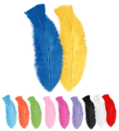 plumes de décoration, plumes pour masques, plumes de déguisements, plumes, sachet de plumes, plumes d'oiseau, plumes multicolores, Plumes Multicolores