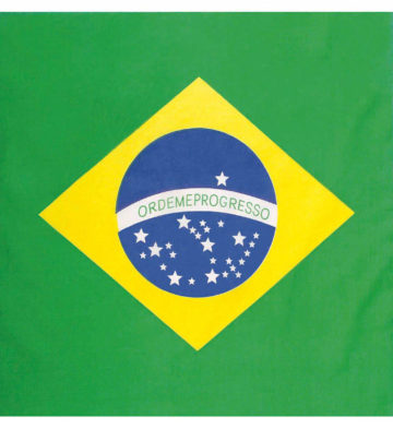 bandana brésilien, bandana brésil, drapeau du brésil, soirée brésilienne, accessoire brésil Bandana Brésil