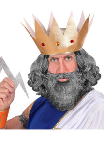 barbe grise, postiche gris, barbe moustache grise