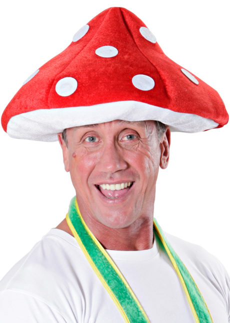 chapeau champignon, chapeau todd, chapeau humour, chapeau amanite tue mouche, chapeau humoristique, Chapeau Champignon