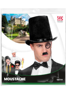 fausses moustaches, postiche, moustache postiche, fausses moustaches réalistes, fausse moustache de déguisement, moustache de charlot