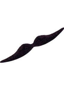 fausses moustaches, postiche, moustache postiche, fausses moustaches réalistes, fausse moustache de déguisement, moustaches dali