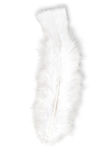 plumes de décoration, plumes pour masques, plumes de déguisements, plumes, sachet de plumes, plumes d'oiseau, plumes blanches, Plumes Blanches, Sachet de 50 plumes