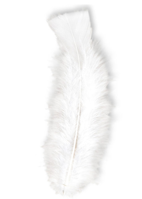 plumes de décoration, plumes pour masques, plumes de déguisements, plumes, sachet de plumes, plumes d'oiseau, plumes blanches, Plumes Blanches, Sachet de 50 plumes