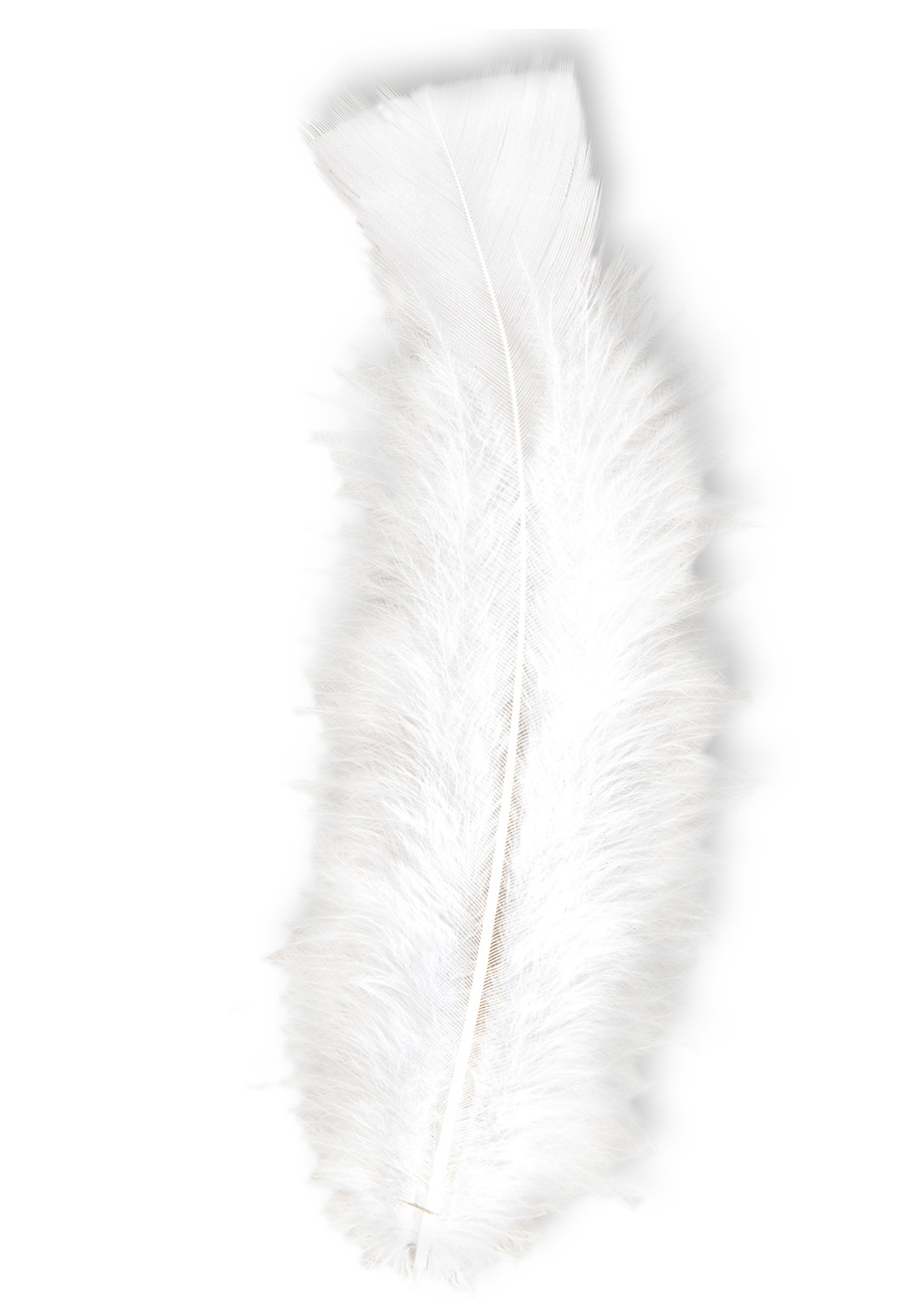 Lot De 150 Plumes Blanches Pour Bricolage - 10 à 15 Cm - Pour Attrape-rêves, Décorations, Costumes, Artisanat