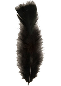 plumes de décoration, plumes pour masques, plumes de déguisements, plumes, sachet de plumes, plumes d'oiseau, plumes noires