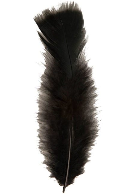 plumes de décoration, plumes pour masques, plumes de déguisements, plumes, sachet de plumes, plumes d'oiseau, plumes noires, Plumes Noires, Sachet de 50 Plumes