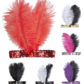 bandeau charleston, bandeau à plumes, accessoire déguisement, accessoire années 30, accessoire cabaret, bandeau charleston, bandeau années 30, bandeau années 20, déguisement charleston, accessoire déguisement charleston Bandeau Charleston à Plumes, Fausse Pierre