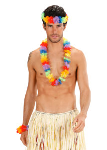 collier hawaïen, collier hawaï, collier de fleurs hawaïen, collier de fleurs hawaï, collier de fleurs hawaïen pas cher