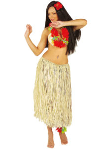 jupe hawaïenne, accessoire hawaïen, déguisement hawaïen, accessoire déguisement hawaï, jupe hawaï, jupe raphia hawaï,