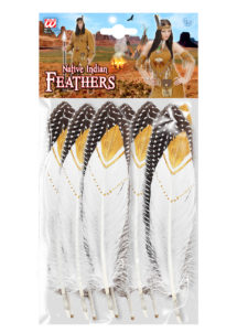 plumes d'indiens, accessoires déguisement indiens, coiffes d'indiens, plumes pour indien