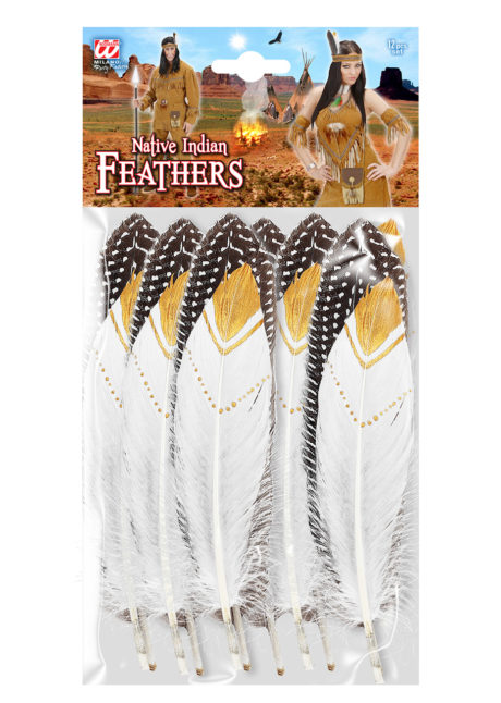 plumes d'indiens, accessoires déguisement indiens, coiffes d'indiens, plumes pour indien, Plumes d’Indien, Sachet de 12 Plumes