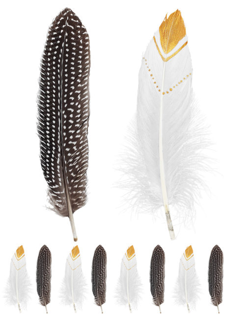 plumes d'indiens, accessoires déguisement indiens, coiffes d'indiens, plumes pour indien, Plumes d’Indien, x 12