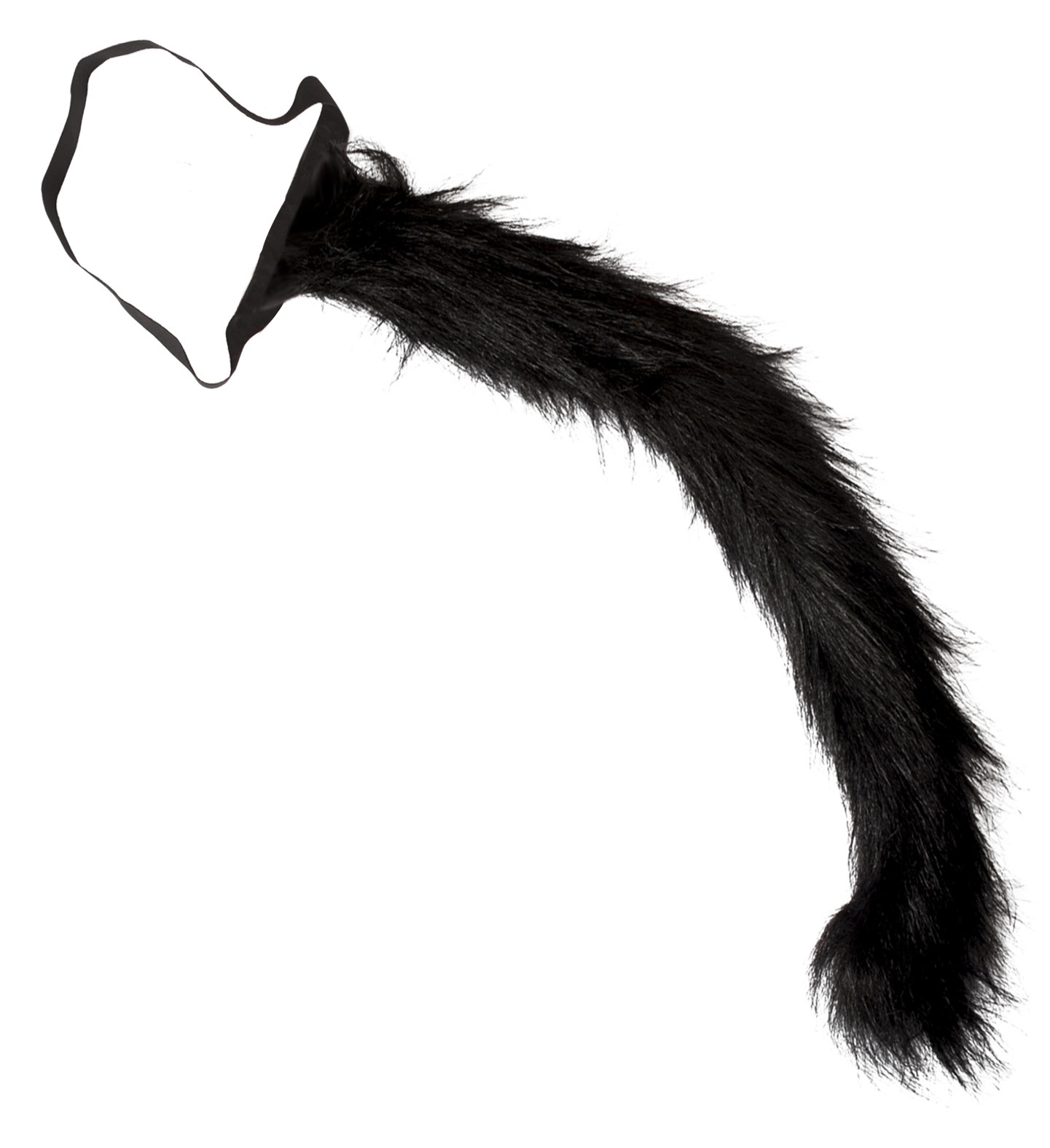 queue de chat deguisement