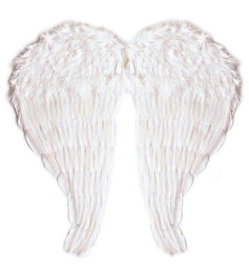 ailes de déguisement, ailes pour se déguiser, ailes d'anges, ailes d'ange, ailes en plumes, ailes blanches Ailes d’Ange en Plumes, Blanches