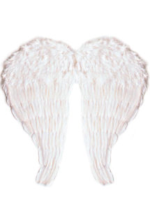 ailes de déguisement, ailes pour se déguiser, ailes d'anges, ailes d'ange, ailes en plumes, ailes blanches