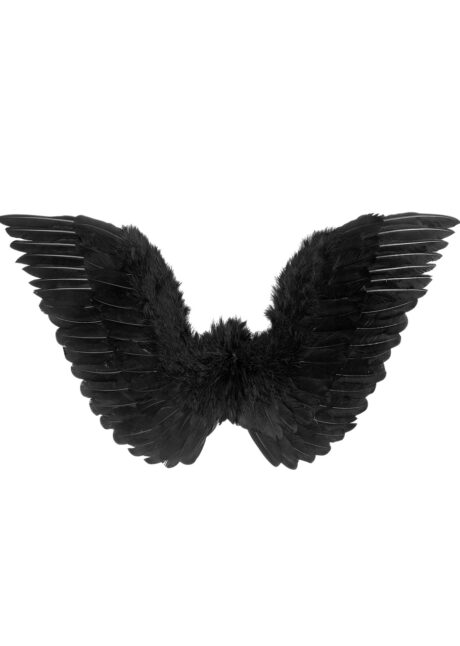 Grandes ailes en plumes noires 