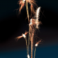 feux d'artifices, feux d'artifice chandelles, lance boules, achat feux d'artifice paris, feux d'artifices compacts, feux d'artifices pyragric, acheter des chandelles à paris Feux d’Artifices, Chandelles, Ouragan