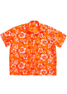 chemise hawaï homme, chemise hawaïenne homme, Hawaii, déguisement hawaïen homme