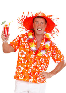 chemise hawaï homme, chemise hawaïenne homme, Hawaii, déguisement hawaïen homme