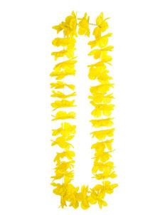 collier hawaïen, collier hawaï, collier de fleurs hawaïen, collier de fleurs hawaï, collier de fleurs hawaïen pas cher