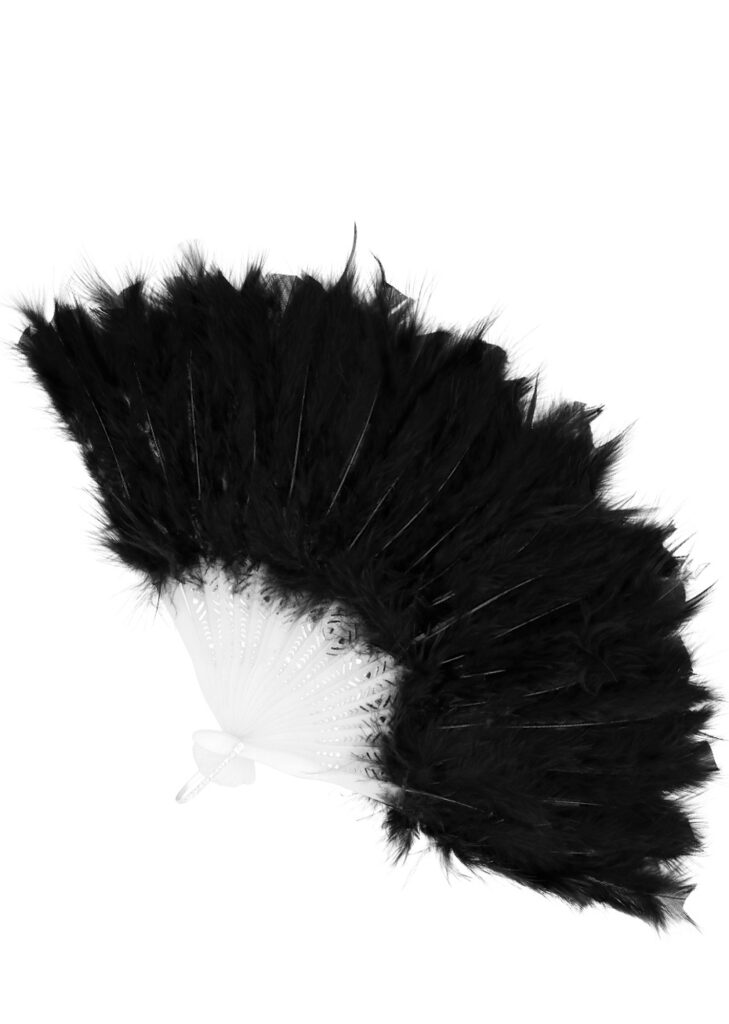 Cape Noir Cape En Plumes Noires Gothique - Châle Ajustable Pour Halloween, Cosplay, Carnaval