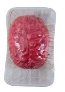 déco halloween, accessoire décoration halloween, faux cerveau, accessoire halloween déguisement, accessoire zombie déguisement, faux cerveau en latex