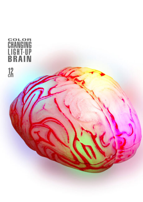 faux cerveau lumineux, faux cerveau led halloween, Faux Cerveau Lumineux