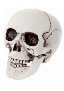 tête de mort halloween, faux crane halloween, tete de mort décoration halloween, tête de mort en plastique, tête de mort taille réelle
