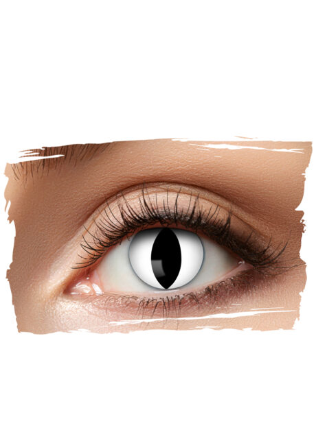 lentilles oeil de chat, lentilles halloween, lentilles yeux de chat, Lentilles Blanches Oeil de Chat, Black Cat