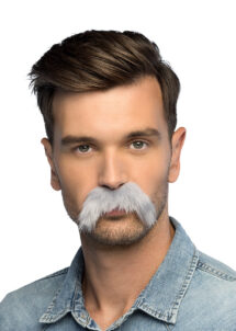 moustache grise déguisement, moustache grise, Moustache Grise, Forme Tombante