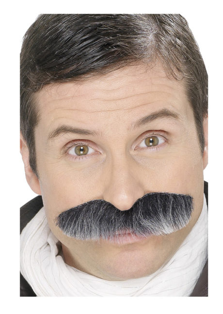 fausses moustaches, postiche, moustache postiche, fausses moustaches réalistes, fausse moustache de déguisement, moustaches grises, Moustache Grise, Chef d’Escadron