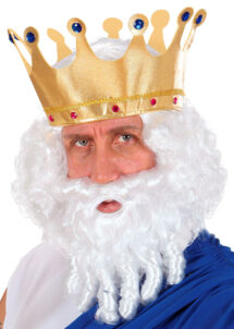 perruque blanche homme, perruque avec barbe, perruque antiquité homme, perruques hommes, perruque blanche homme