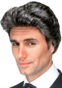 perruque homme, perruque grise pour homme, perruque déguisement