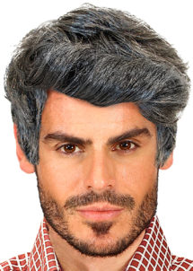 perruque grise homme, perruques hommes, perruque pour homme