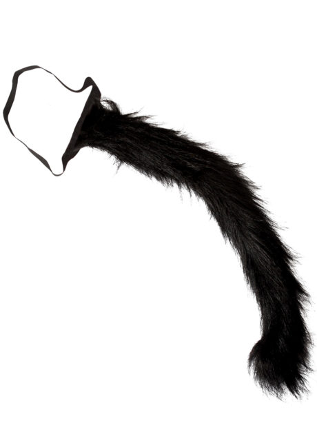 queue de chat, déguisement chat accessoire, se déguiser en chat, Queue de Chat Noir