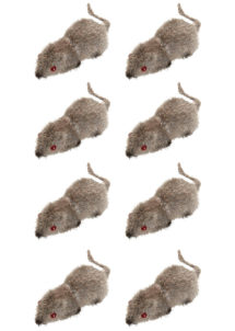 fausses souris halloween, accessoire halloween déguisement, faux insectes halloween, décoration halloween, décorations souris halloween, fausses souris