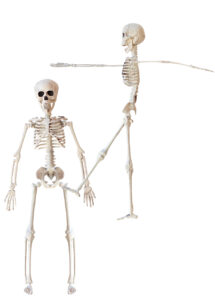 squelette Halloween, squelette déco Halloween, petit squelette Halloween