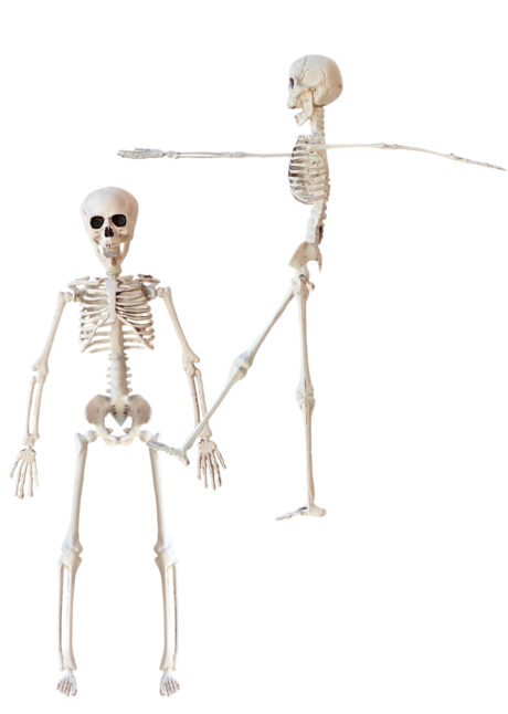 squelette Halloween, squelette déco Halloween, petit squelette Halloween, Squelette à Suspendre, 40 cm