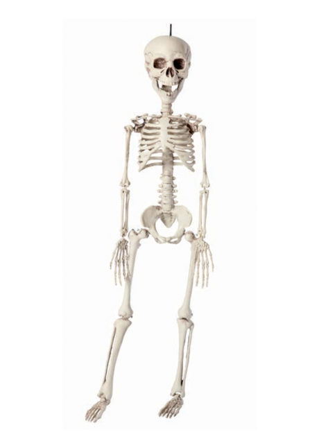 squelette à suspendre, squelette 40 cm, squelette décoration halloween, Squelette à Suspendre, 40 cm