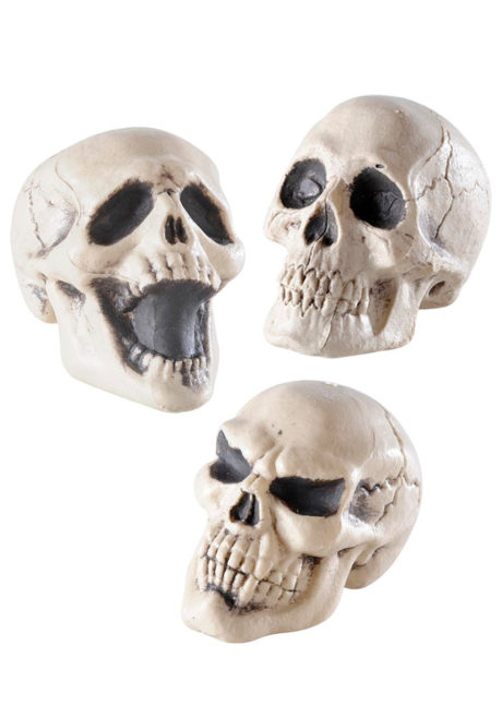 tête de mort décoration halloween, décos halloween, faux crâne halloween, tête de mort décoration, tête de mort halloween, tête de mort réaliste, Faux Crâne, Tête de Mort, 3 Modèles PM