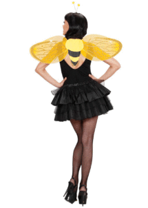 ailes abeille, ailes de déguisement, ailes pour se déguiser, ailes d'abeille