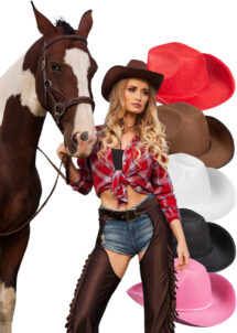 chapeau cowboy rose, chapeau cowboy rouge, chapeau cowboy blanc, chapeau cowboy noir, chapeau cowboy marron, chapeau de cowboy pas cher, Aux Feux de la Fête