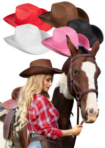 chapeau cowboy rose, chapeau cowboy rouge, chapeau cowboy blanc, chapeau cowboy noir, chapeau cowboy marron, chapeau de cowboy pas cher, Aux Feux de la Fête