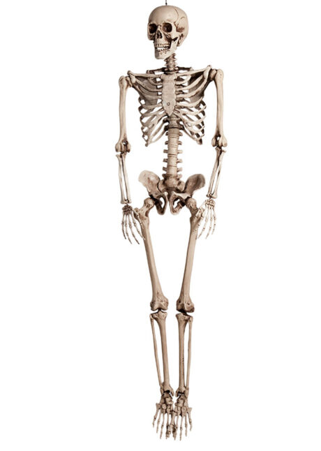 squelette halloween, squelette 160 cm, squelette déco Halloween, Squelette 3D, 160 cm