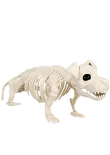 squelette de chien halloween, squelette décoration halloween