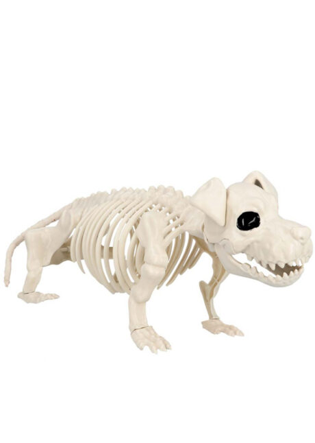 squelette de chien halloween, squelette décoration halloween, Squelette de Chien, 52 cm