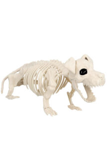 squelette de chien halloween, squelette décoration halloween